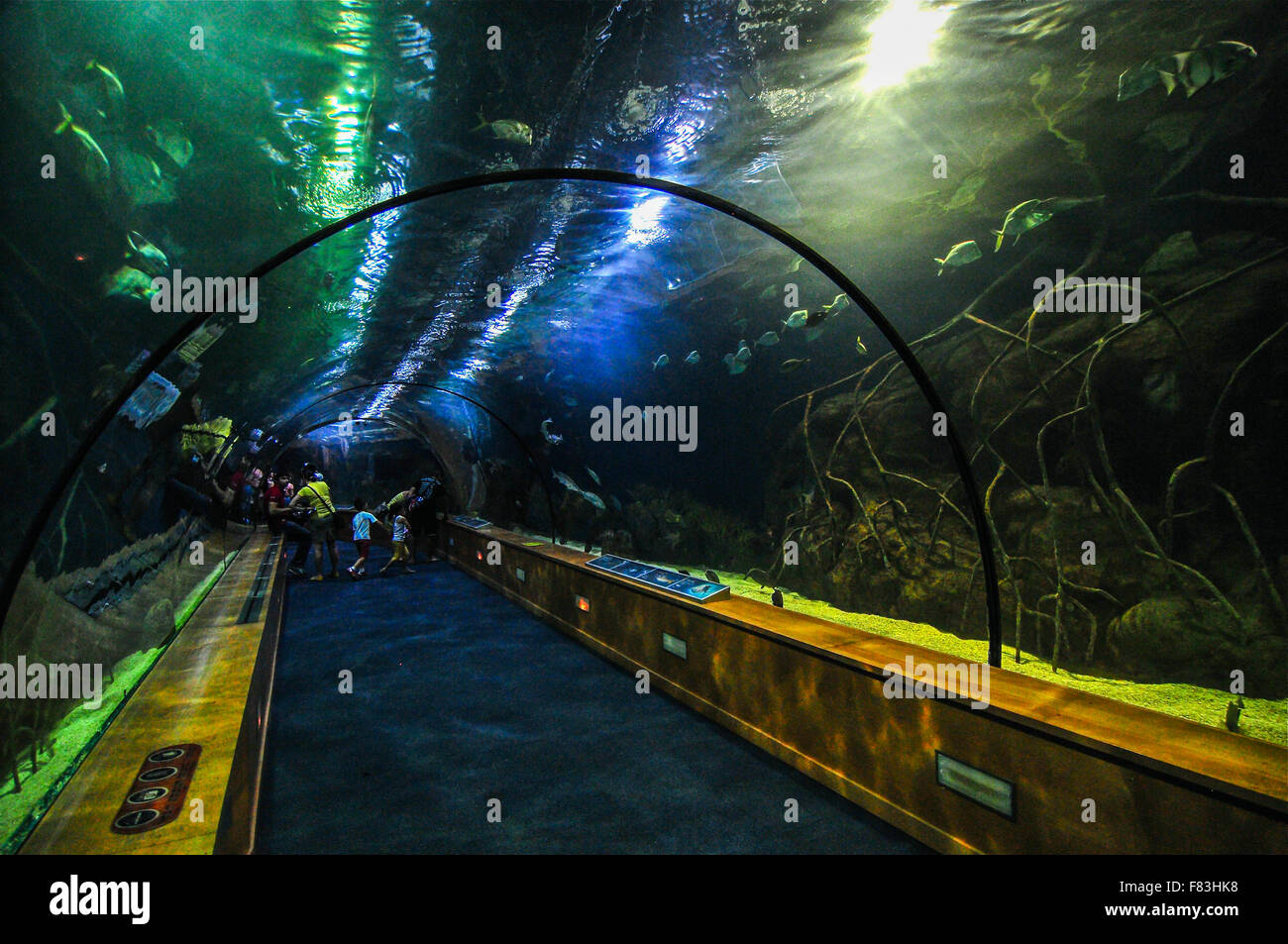 Biggest sea aquarium of Europe is the Oceanografic in Valencia Spain. Stock Photo