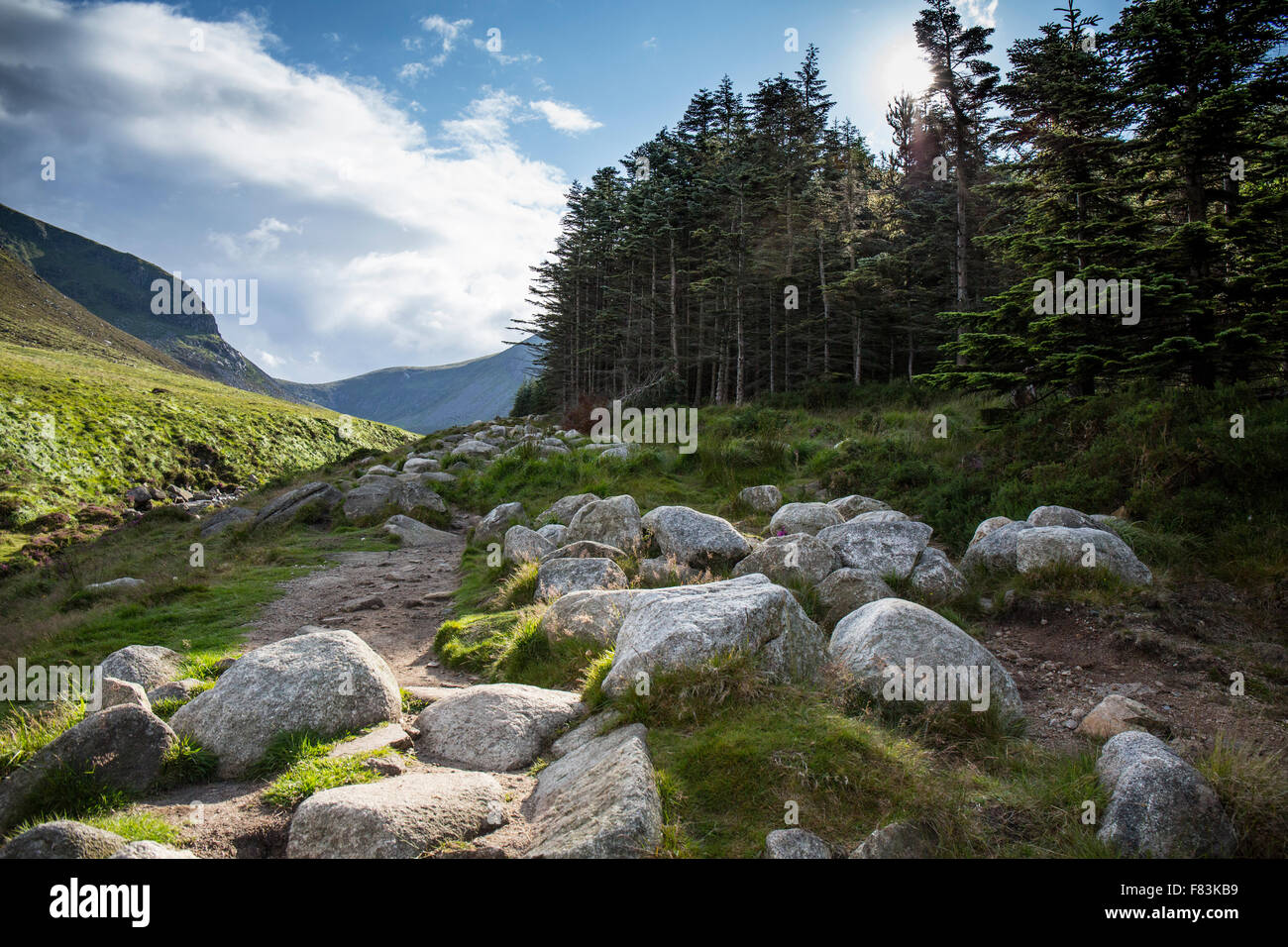 A view of the Glen river and Donard forest on the ascent to Slieve Donard. Stock Photo