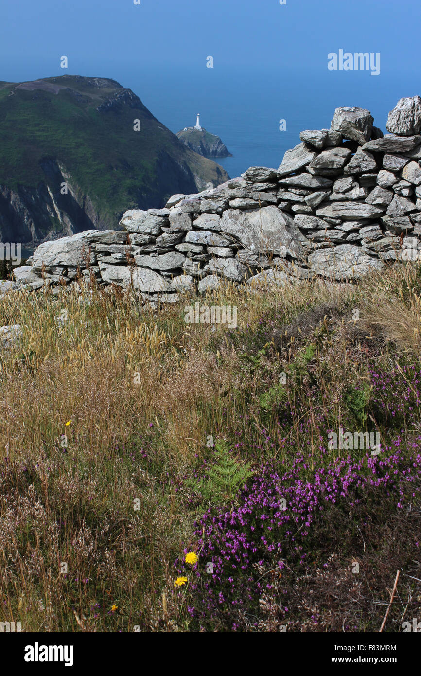 South Stack Lighthouse Anglesey North Wales Stock Photo Alamy