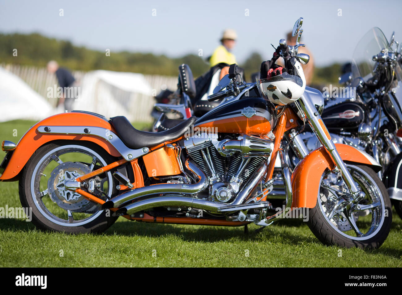Harley Davidson Motorcycle Stock Photo