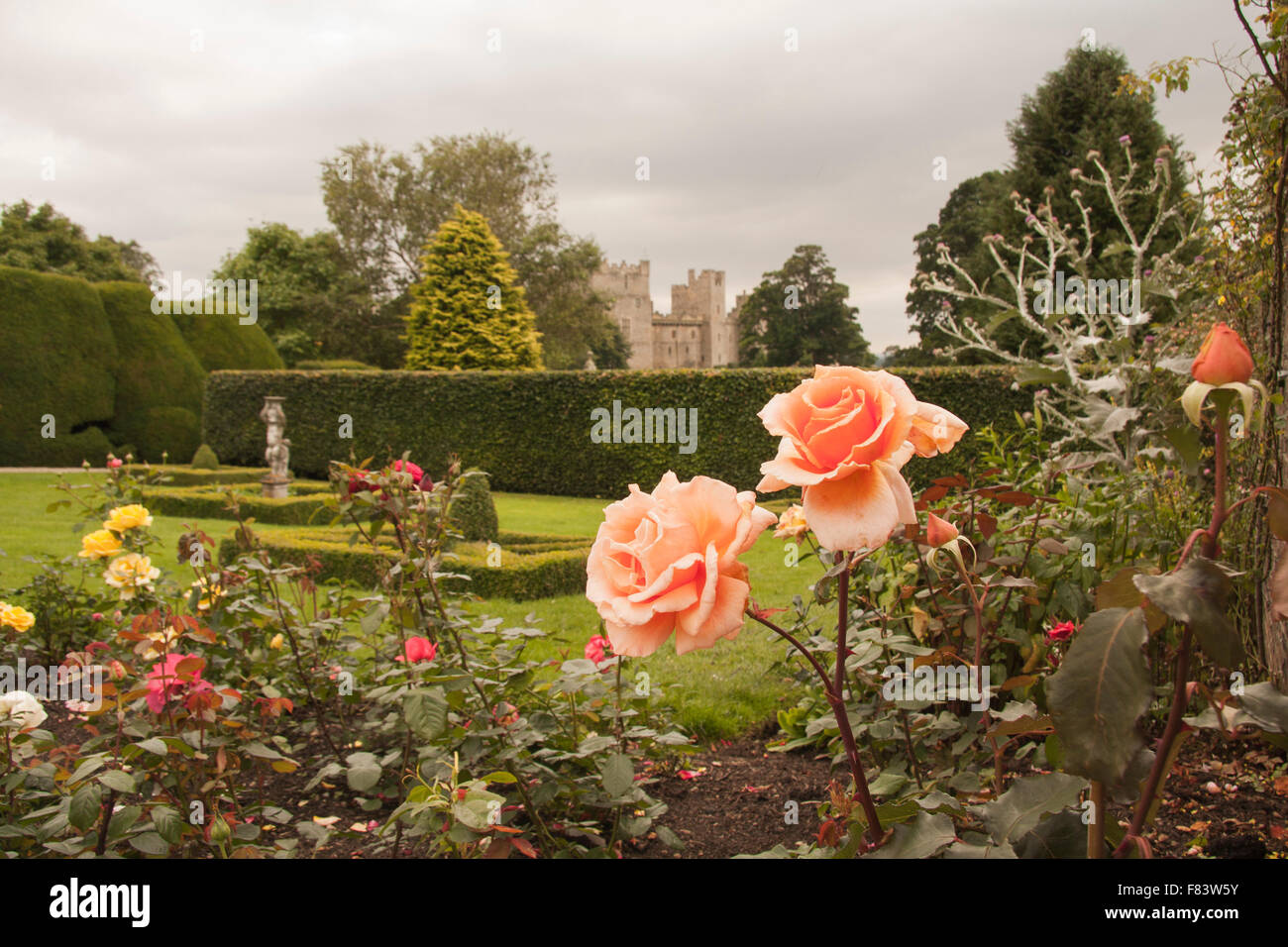 Colourful view of the rose garden at Raby Castle,Staindrop,Co.Durham, England,UK with the castle in the background Stock Photo