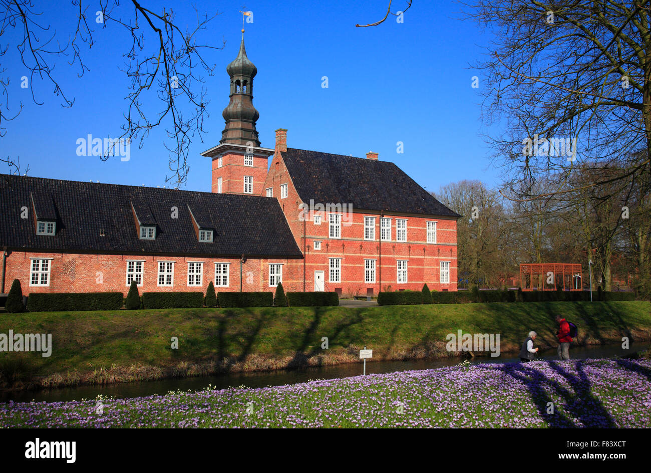 Blooming crocus meadow at Husum Castle, North Frisia, Schleswig-Holstein,  Germany, Europe Stock Photo