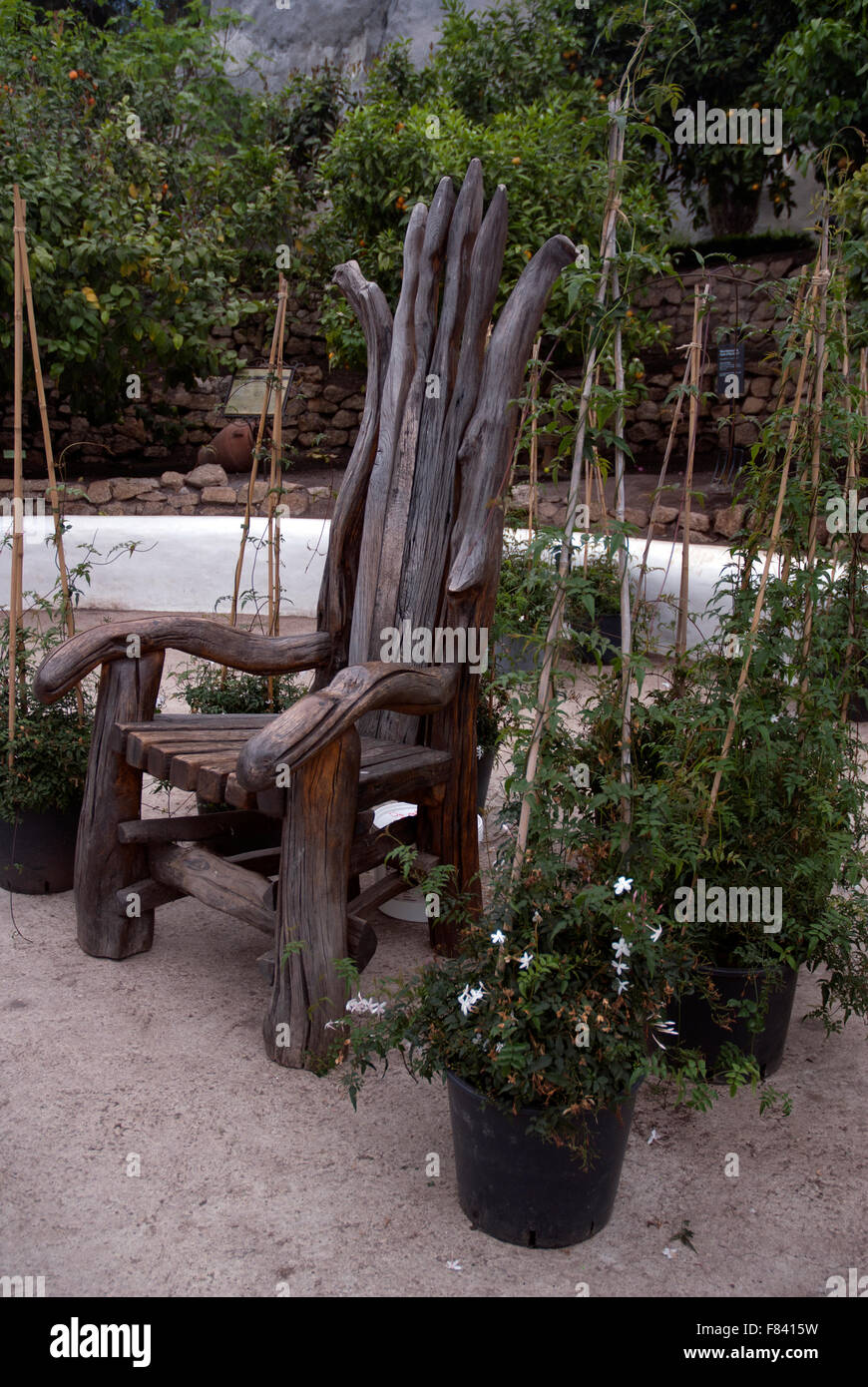 Wooden chair in the temperate biome in the Eden Project, Bodelva, Cornwall PL24 2SG Stock Photo