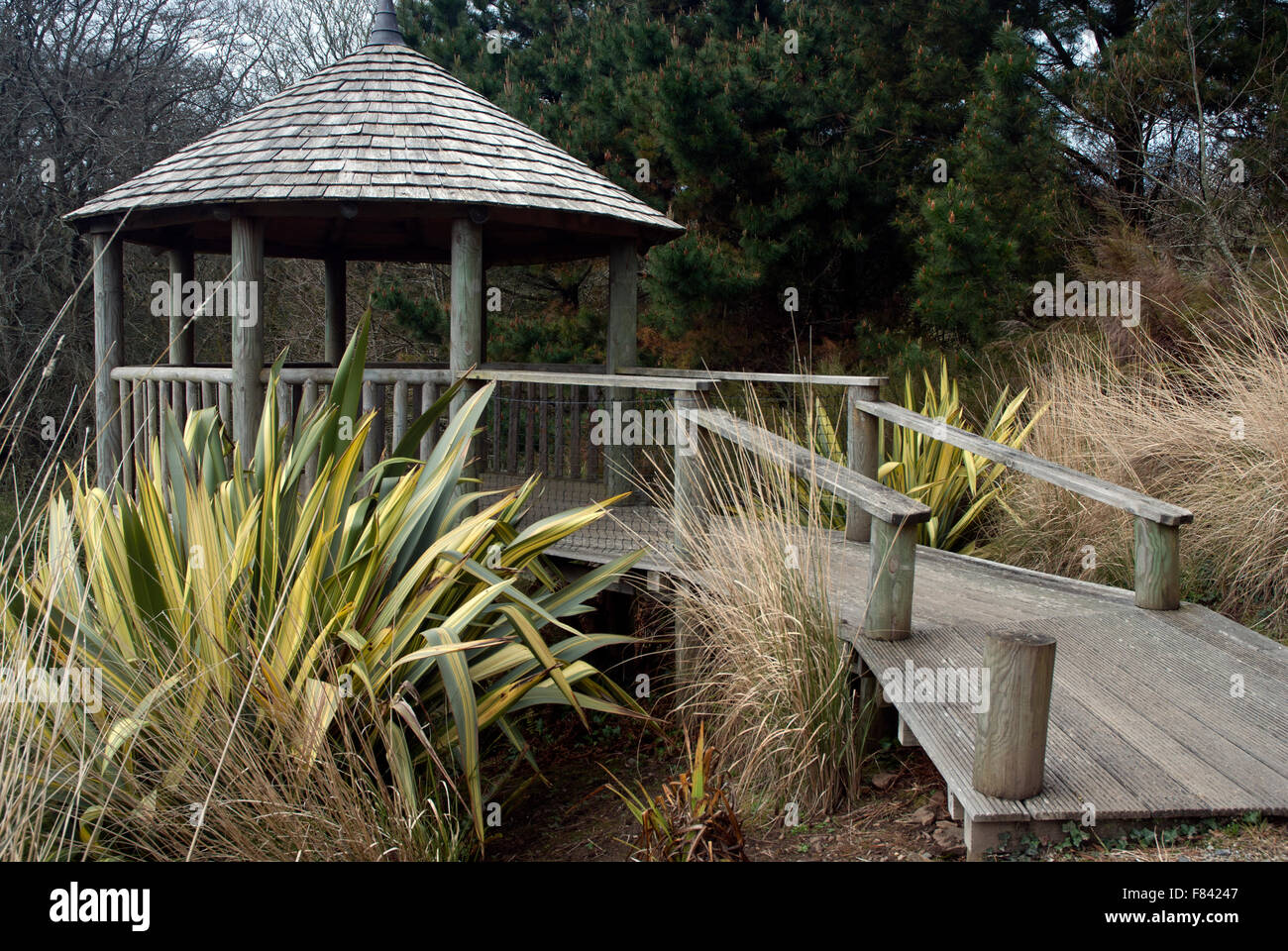 Timber built sun house in Tremenheere Gardens, West Cornwall, England Stock Photo