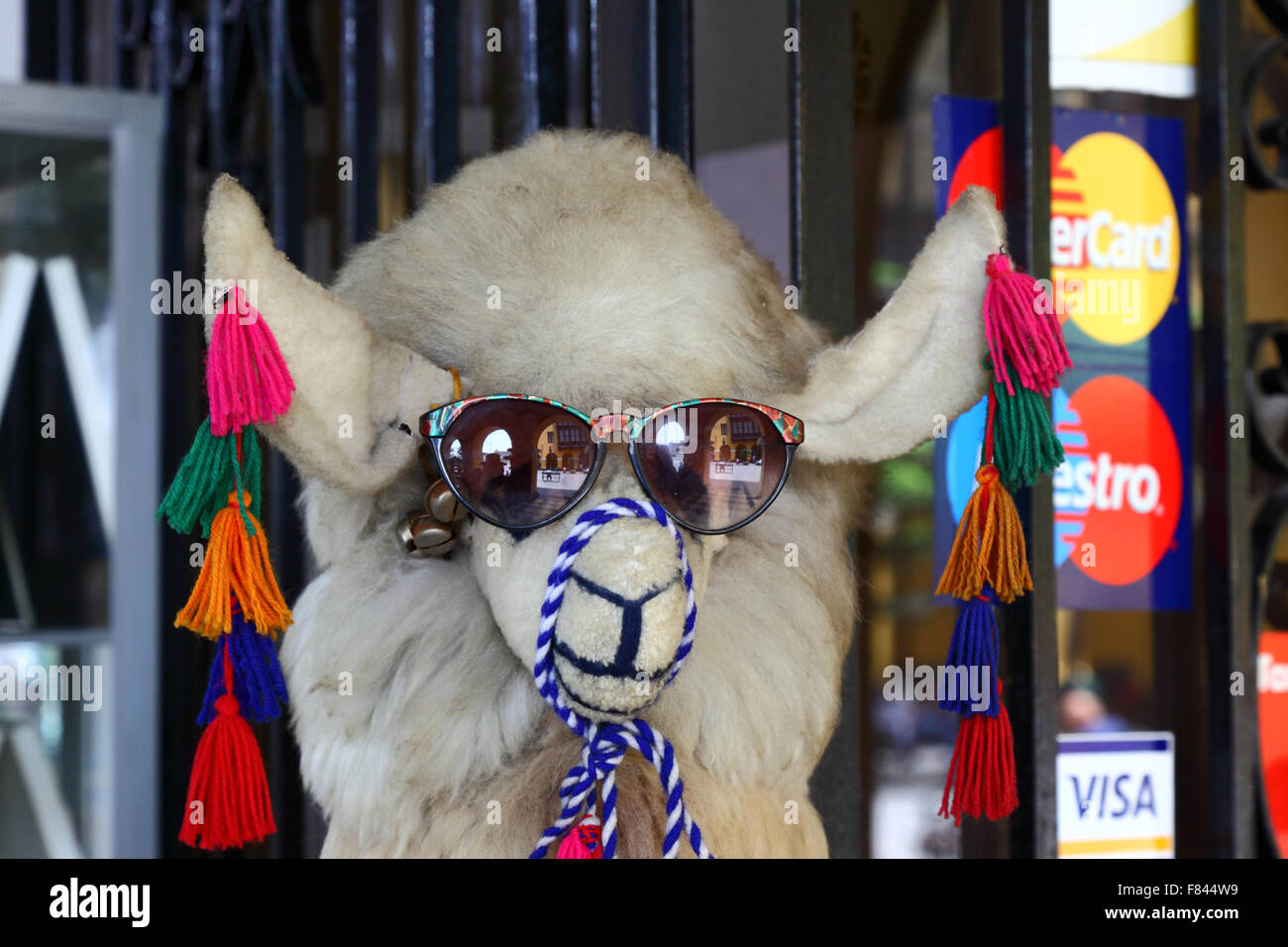 Llama con lentes de sol sale