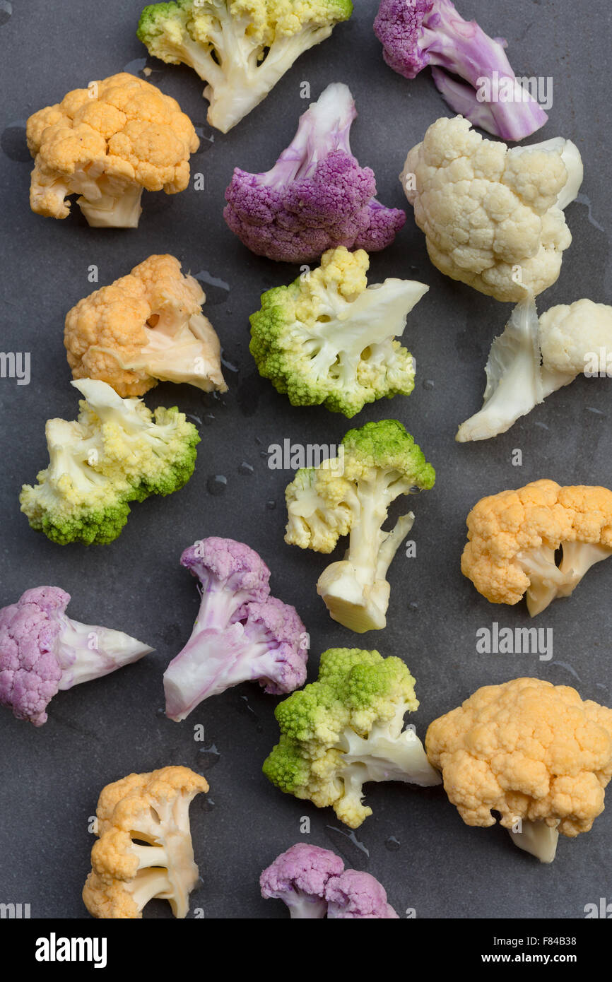 The florets hires stock photography and images Alamy