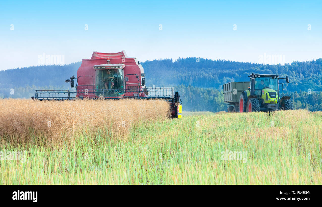 Czech Republic - Combine Harvesting Stock Photo