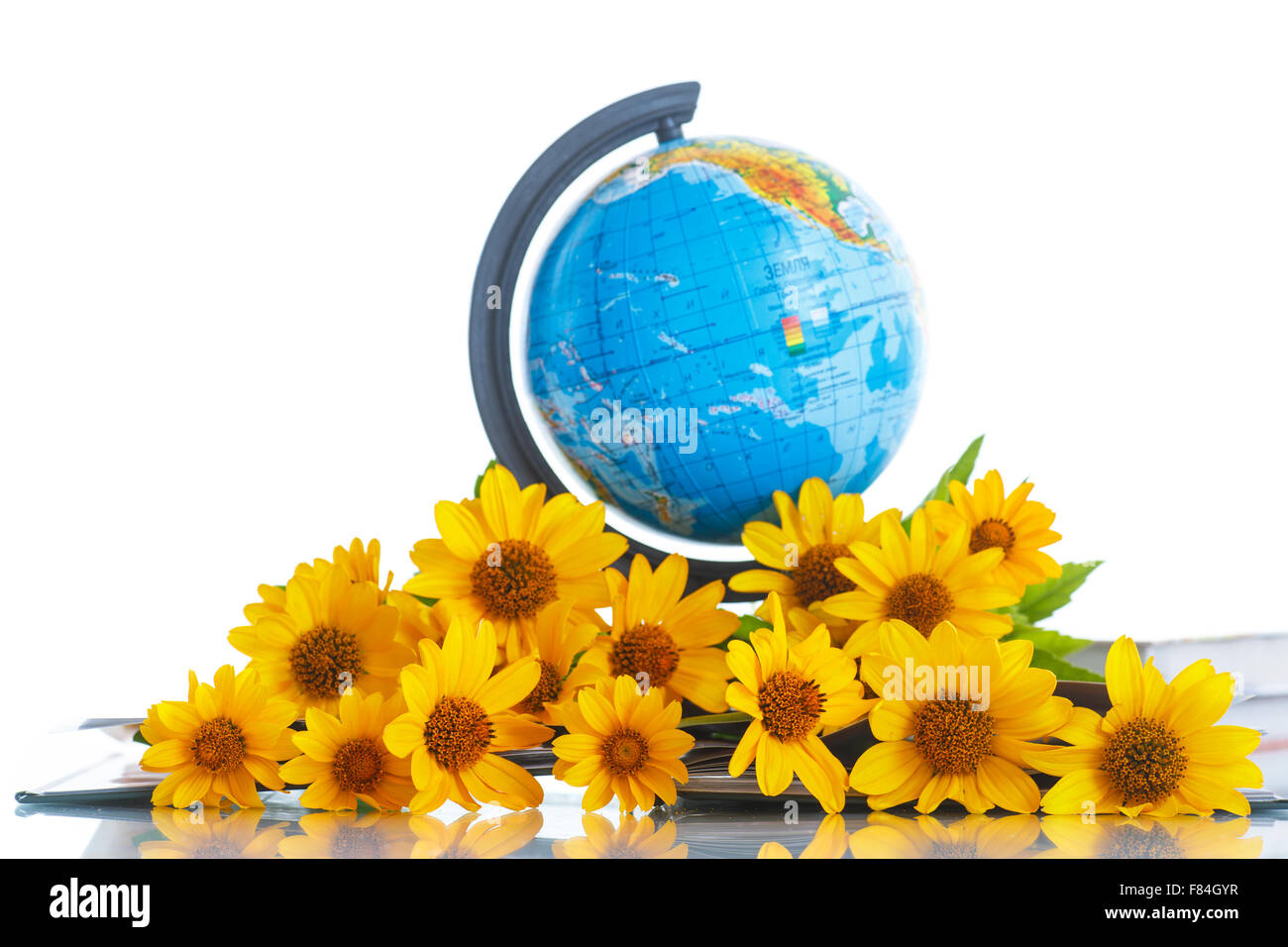 Globe with books and flowers Stock Photo