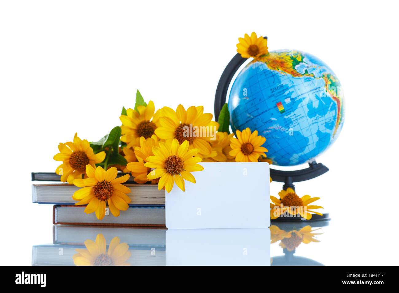 Globe with books and flowers Stock Photo