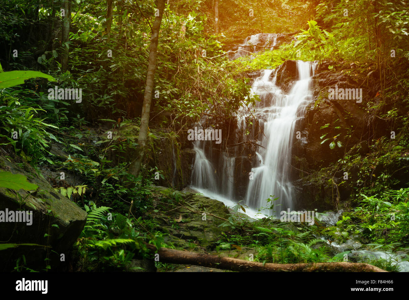 Natural flowing waterfall in a lush tranquil rain-forest. Stock Photo