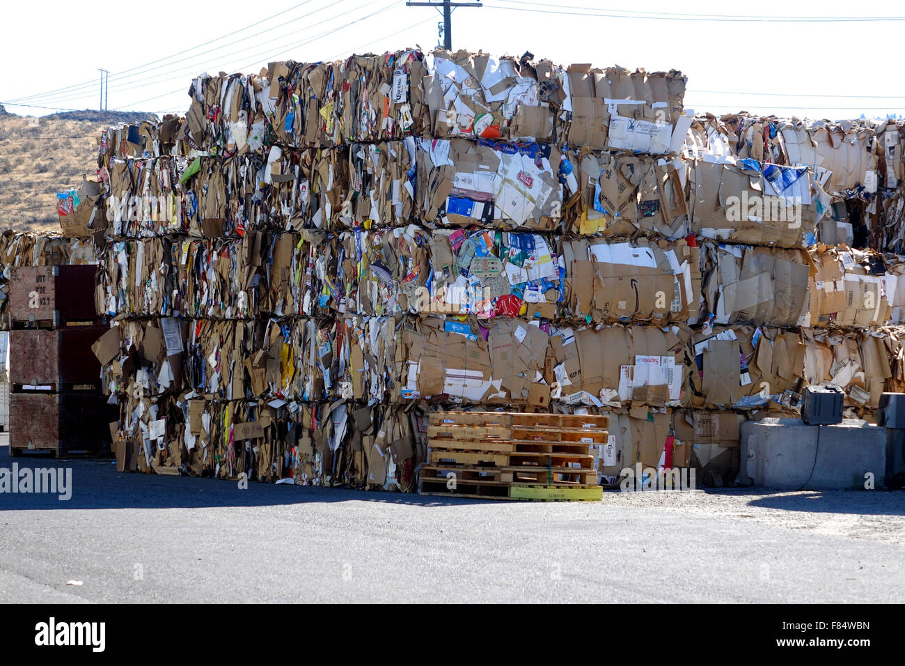 Used cardboard is delivered to a recycle center where it is flattened