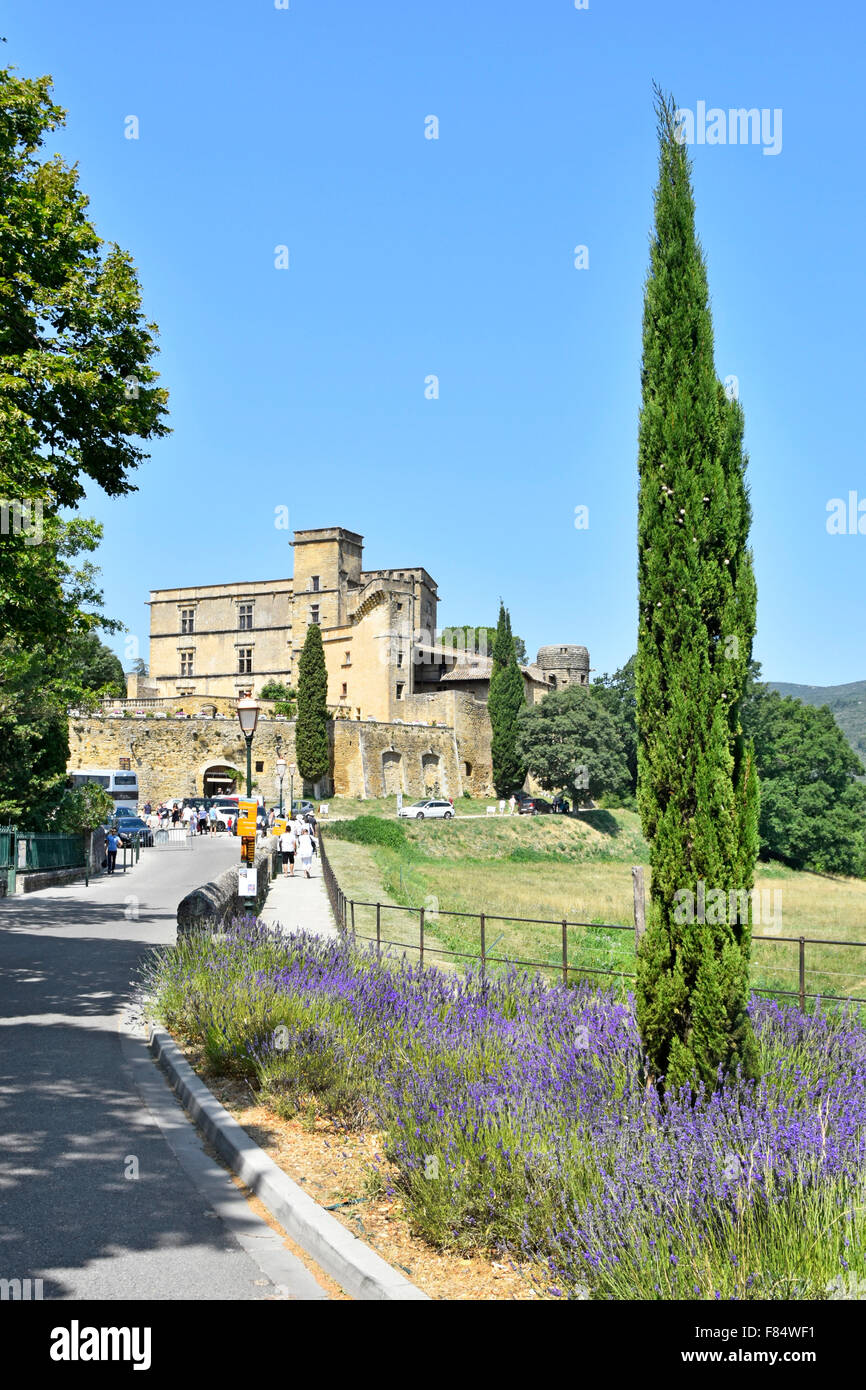 Lourmarin lavender in flower with Château de Lourmarin beyond village in the Luberon area of Provence Vaucluse, Provence-Alpes-Côte d'Azur, France Stock Photo