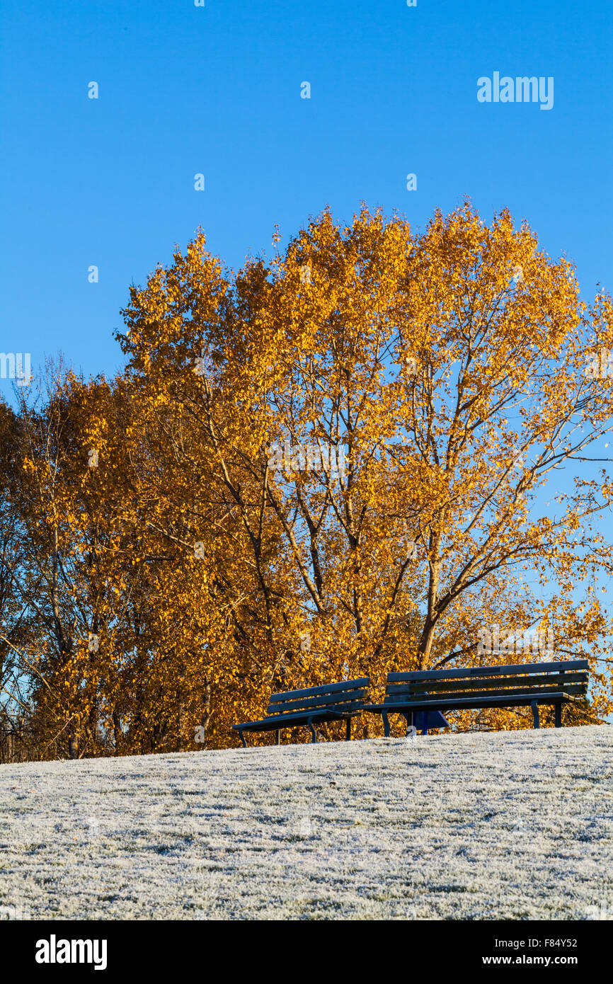 Vacant benches on a frosty knoll in a Vancouver community park Stock Photo