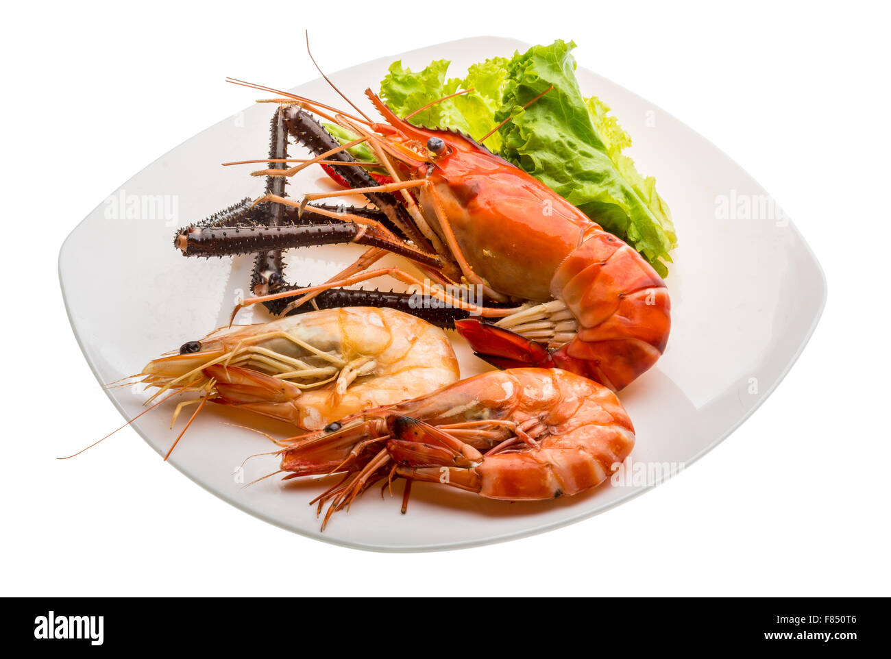 Giant Freshwater Prawn and king prawns isolated Stock Photo - Alamy