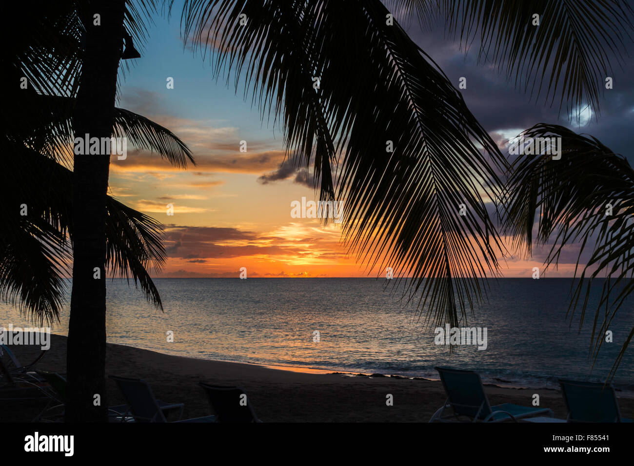 A landscape of the Caribbean sea with palm trees at sundown St. Croix, U.S. Virgin Islands USVI Stock Photo
