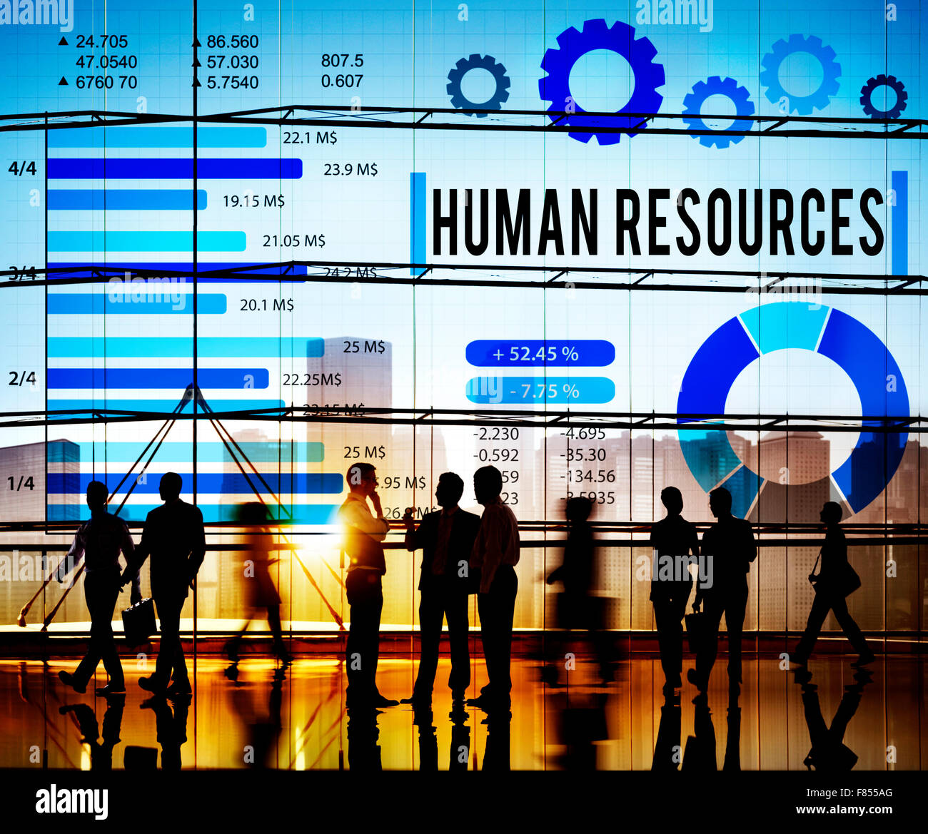 Human Resources Employment Career Plan Concept Stock Photo Alamy