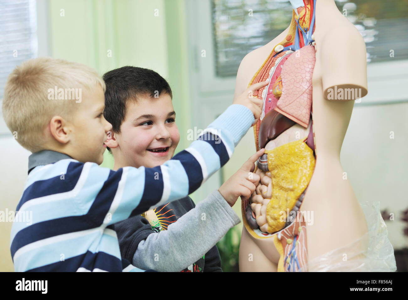 Преподаватель на уроке анатомии. Урок биологии анатомия человека. Скелет для изучения студентами медиками. Учитель анатомии. Учитель по анатомии.