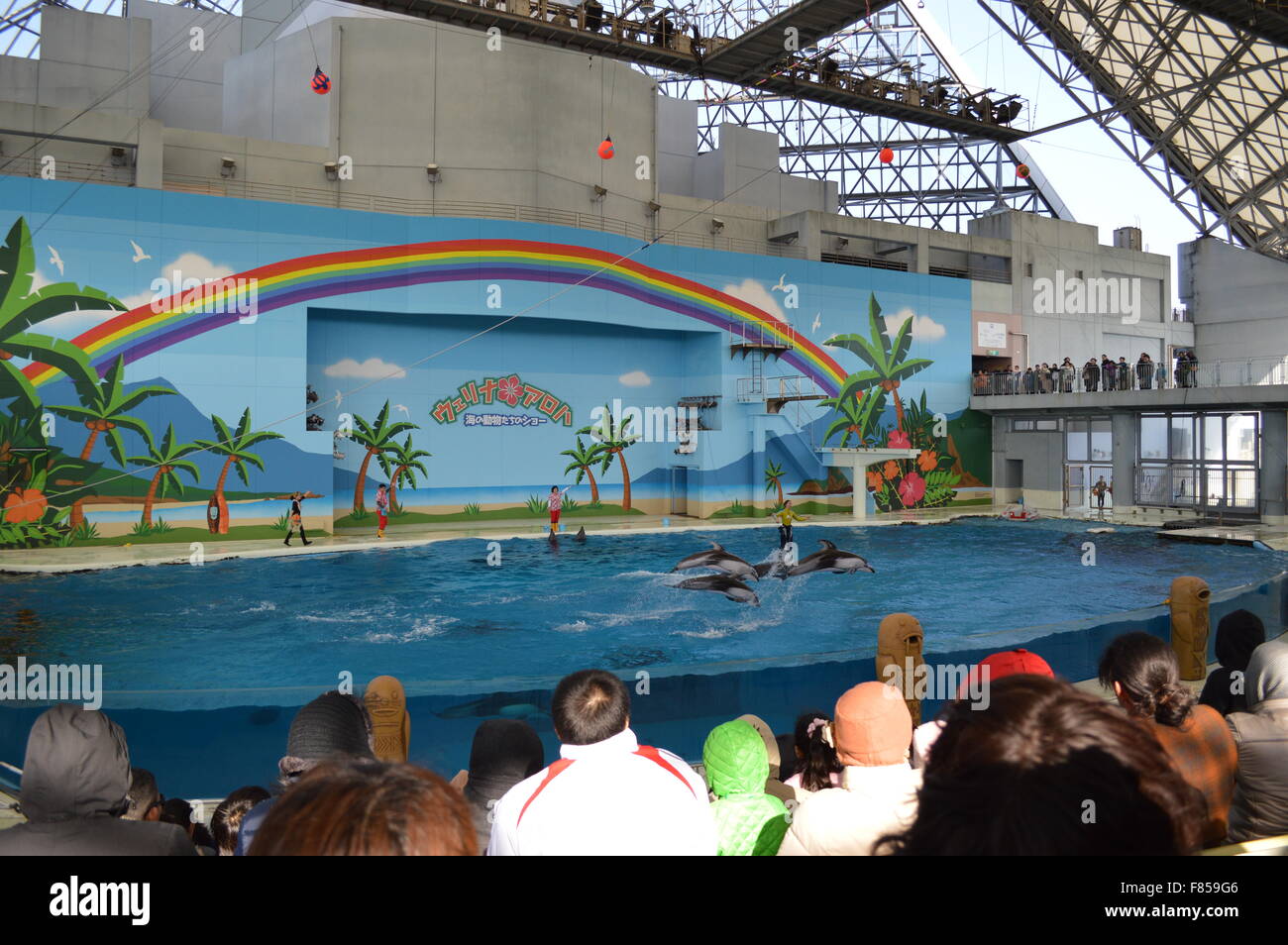 Dolphin pond in a aquarium and fun dance Stock Photo - Alamy