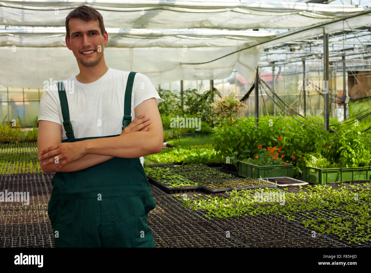 Happy farmer with arms crossed in a greenhouse Stock Photo - Alamy