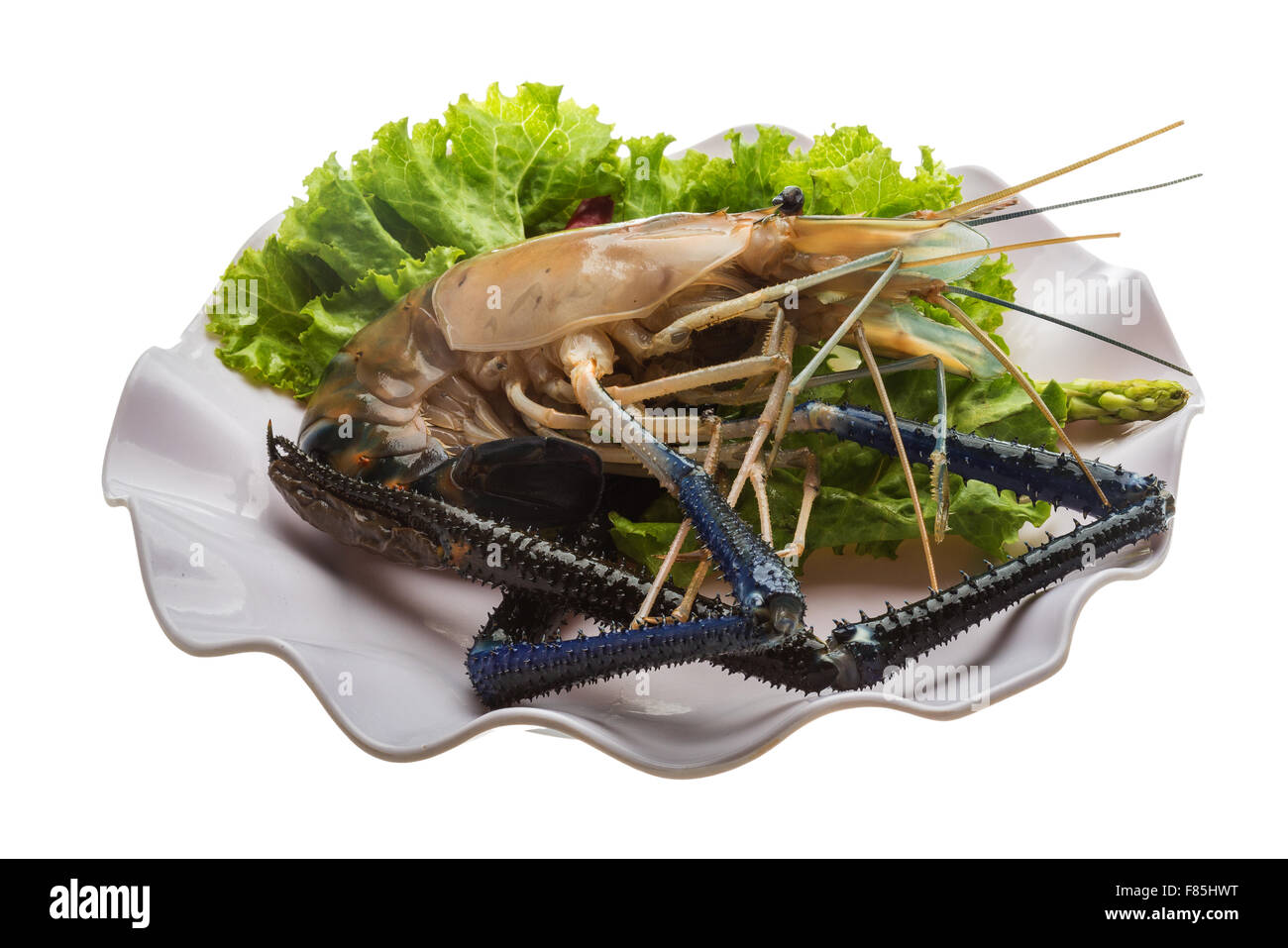 Big Freshwater prawn ready for cooking Stock Photo - Alamy