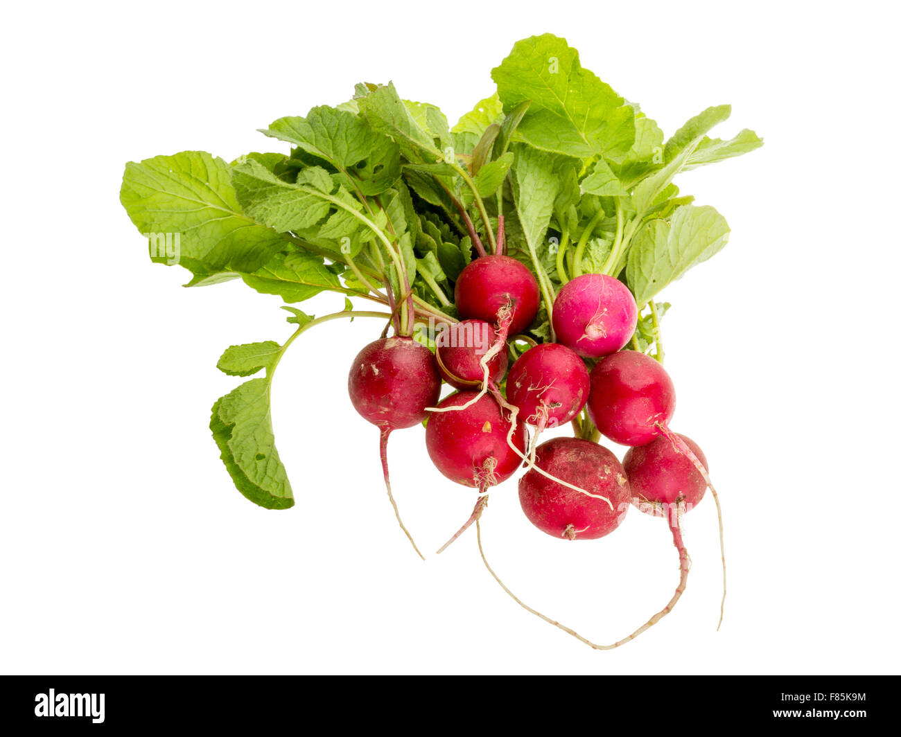 Fresh radish with leaves isolated Stock Photo Alamy