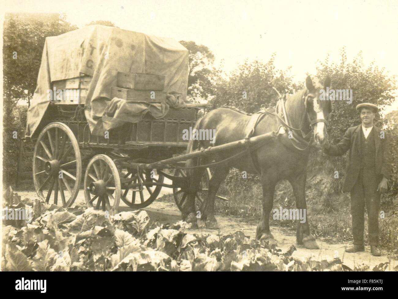 Horse drawn fish cart hi-res stock photography and images - Alamy