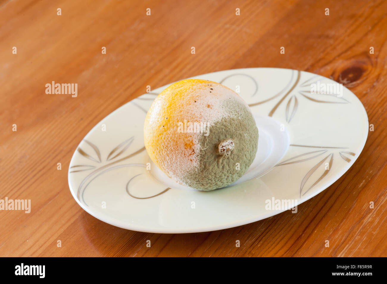 Mouldy yellow lemon fruit lying on small plate on wooden table, moldy and decayed bad food wastage, one lemon garbage horizontal Stock Photo