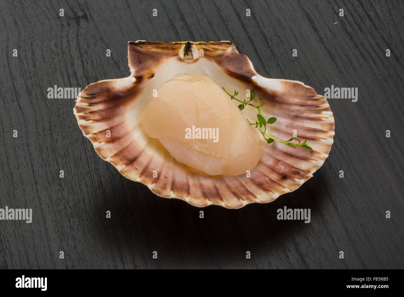 Raw scallops in the shell Stock Photo Alamy