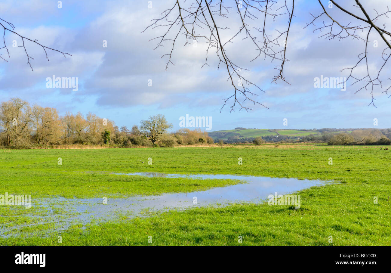 Flooded field in Winter in Arundel, West Sussex, England, UK. Stock Photo