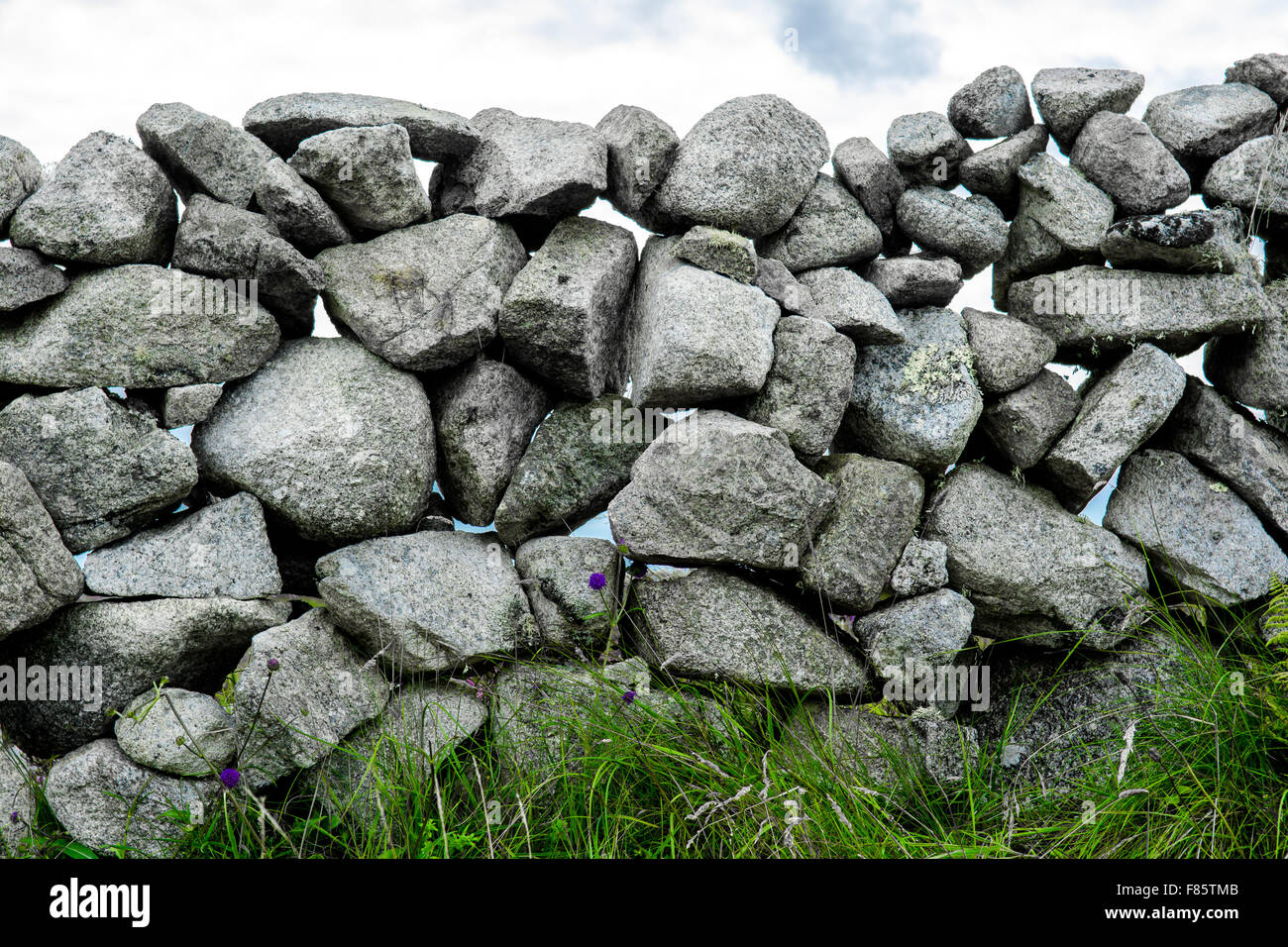 Stone Wall With Flowers And Grass Stock Photo - Alamy