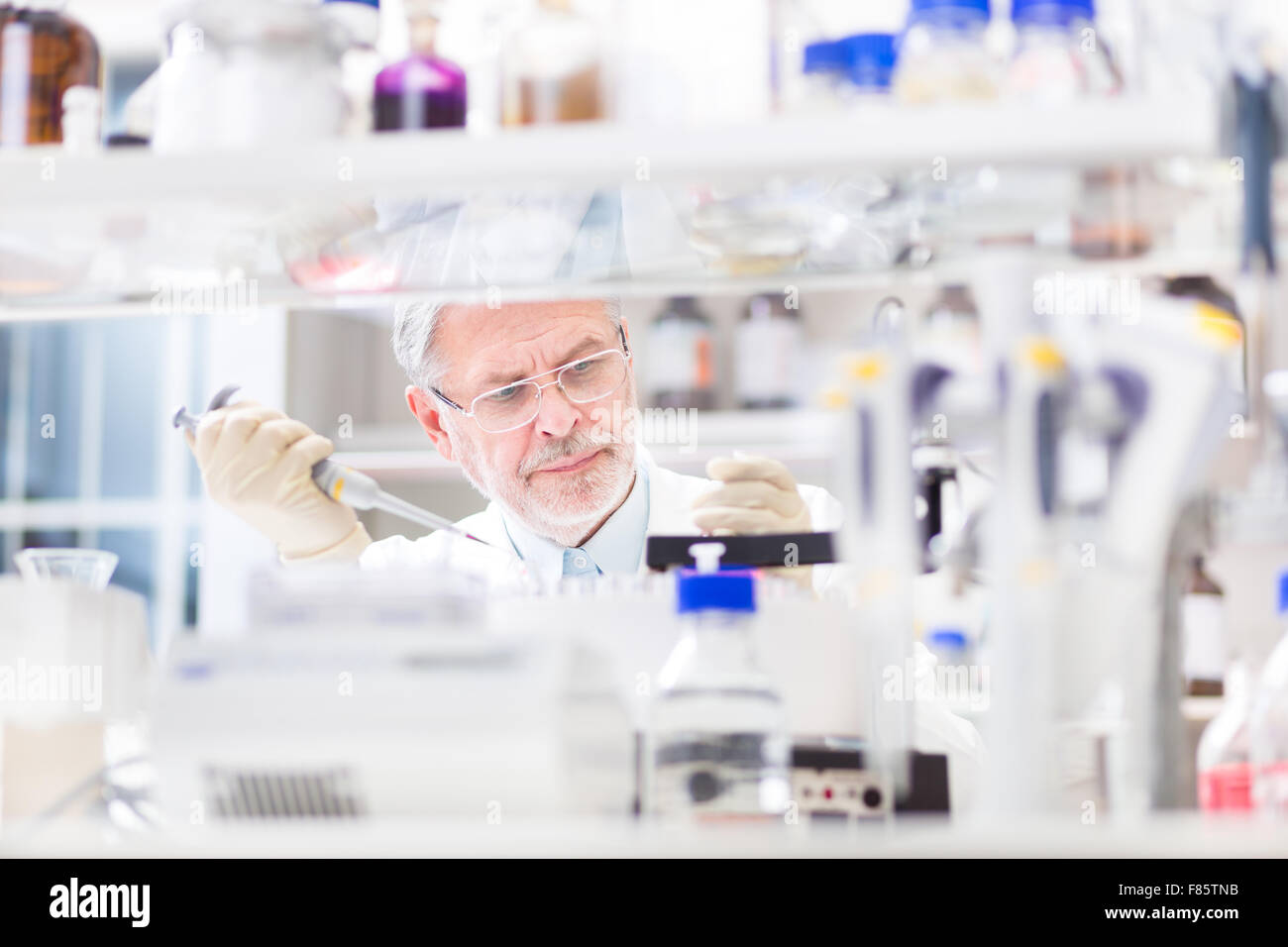 Life scientist researching in the laboratory. Stock Photo