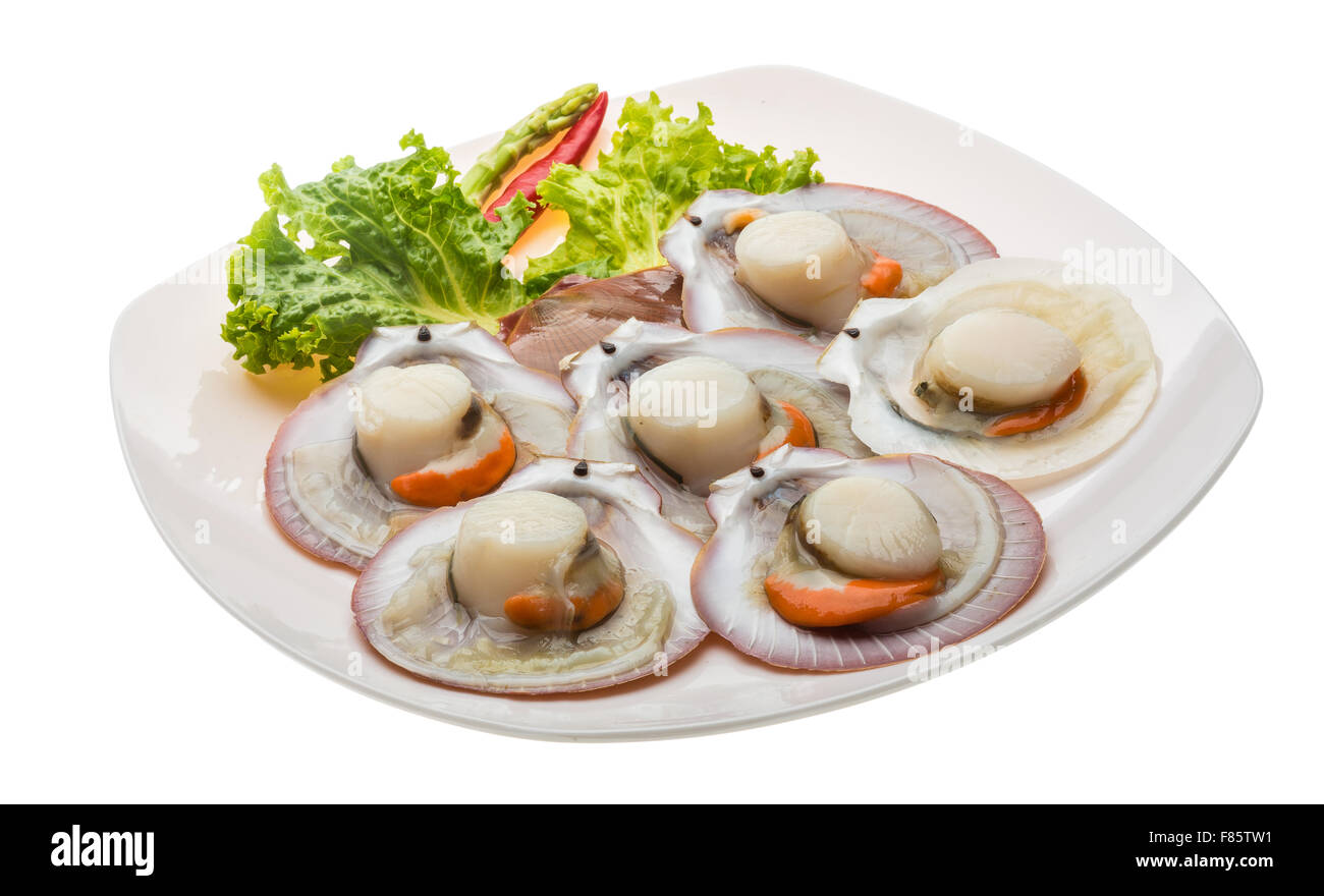 Raw fresh scallop ready for cooking Stock Photo Alamy