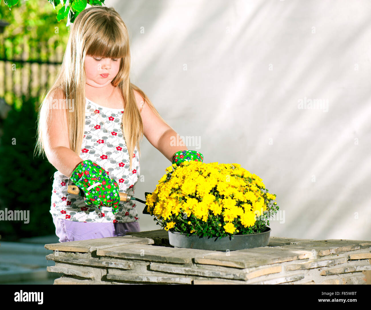 little girl planting flowers in pots Stock Photo - Alamy