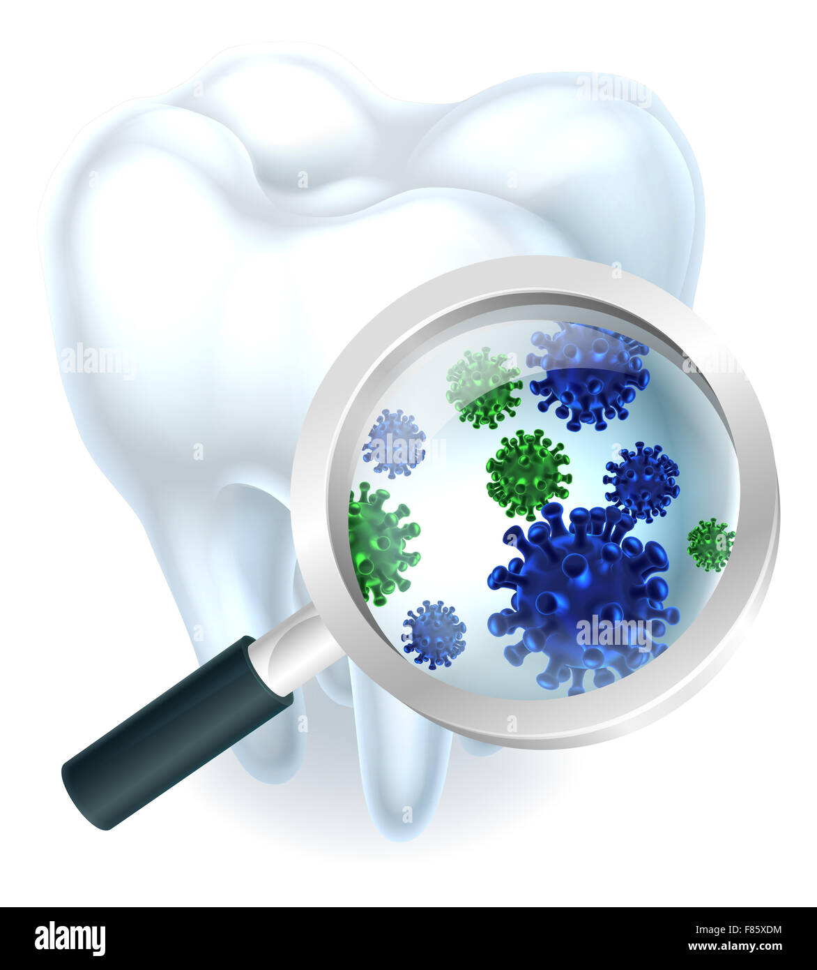 Microscopic teeth hires stock photography and images Alamy
