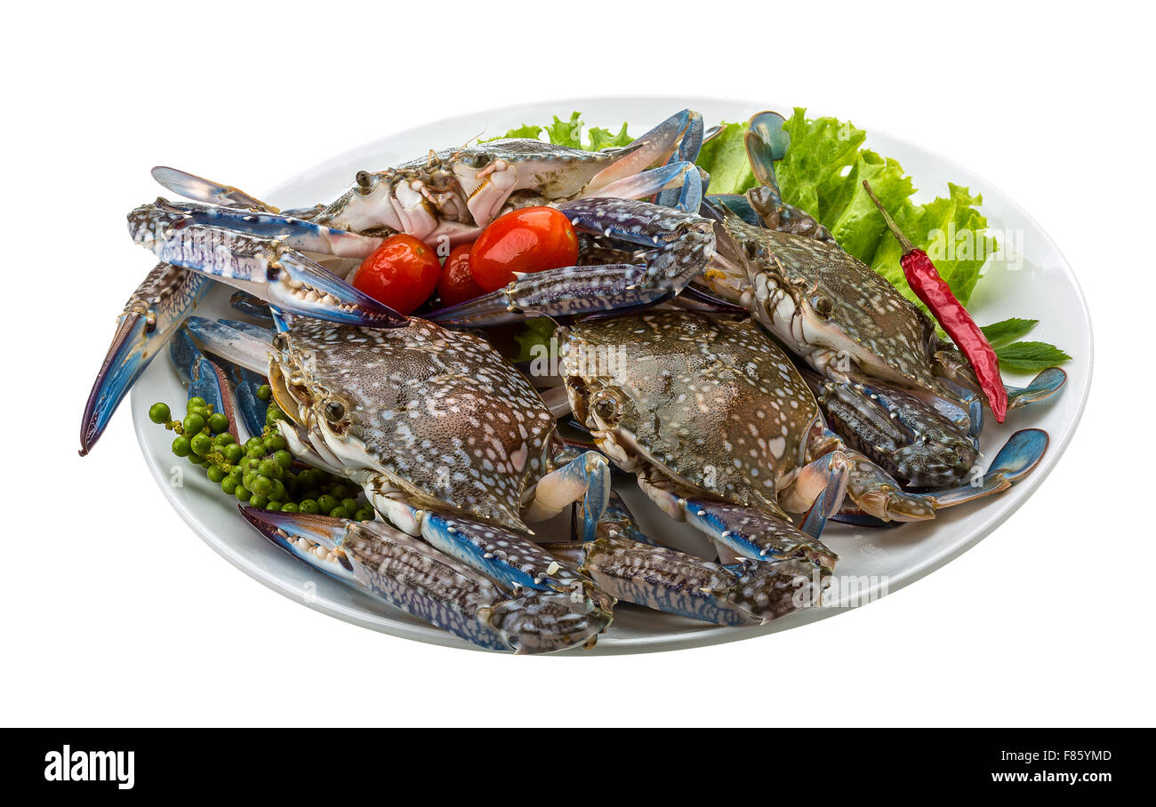 Raw blue crab ready to cook Stock Photo Alamy