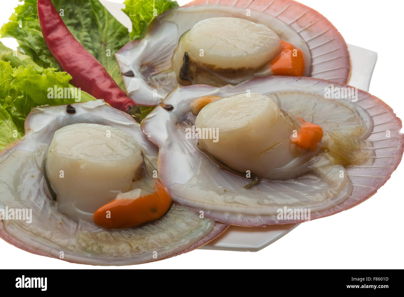 Raw fresh scallop ready for cooking Stock Photo Alamy