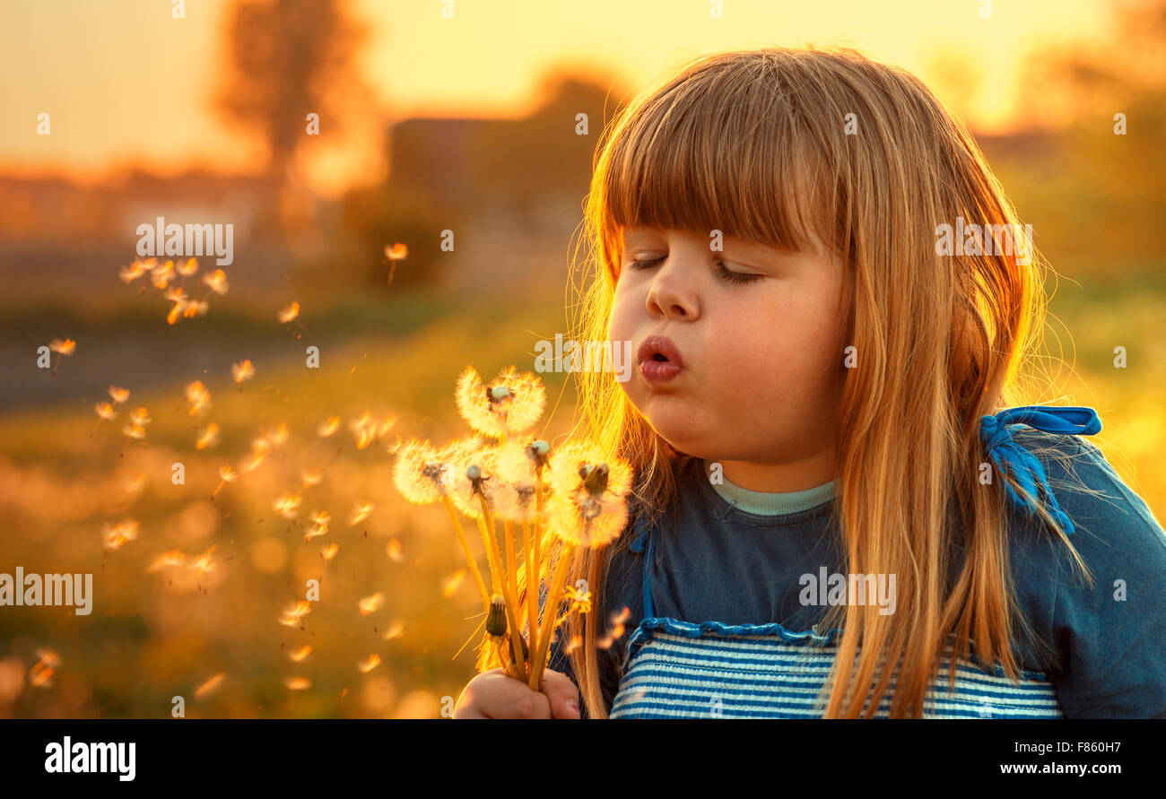 little girl with dandelions Stock Photo - Alamy