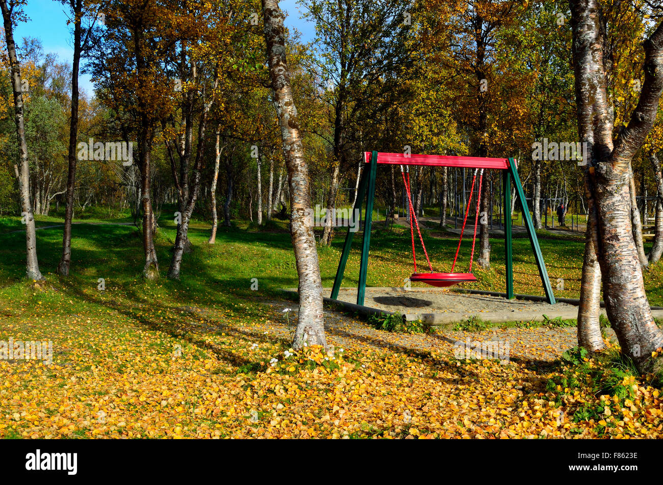 natural swing set