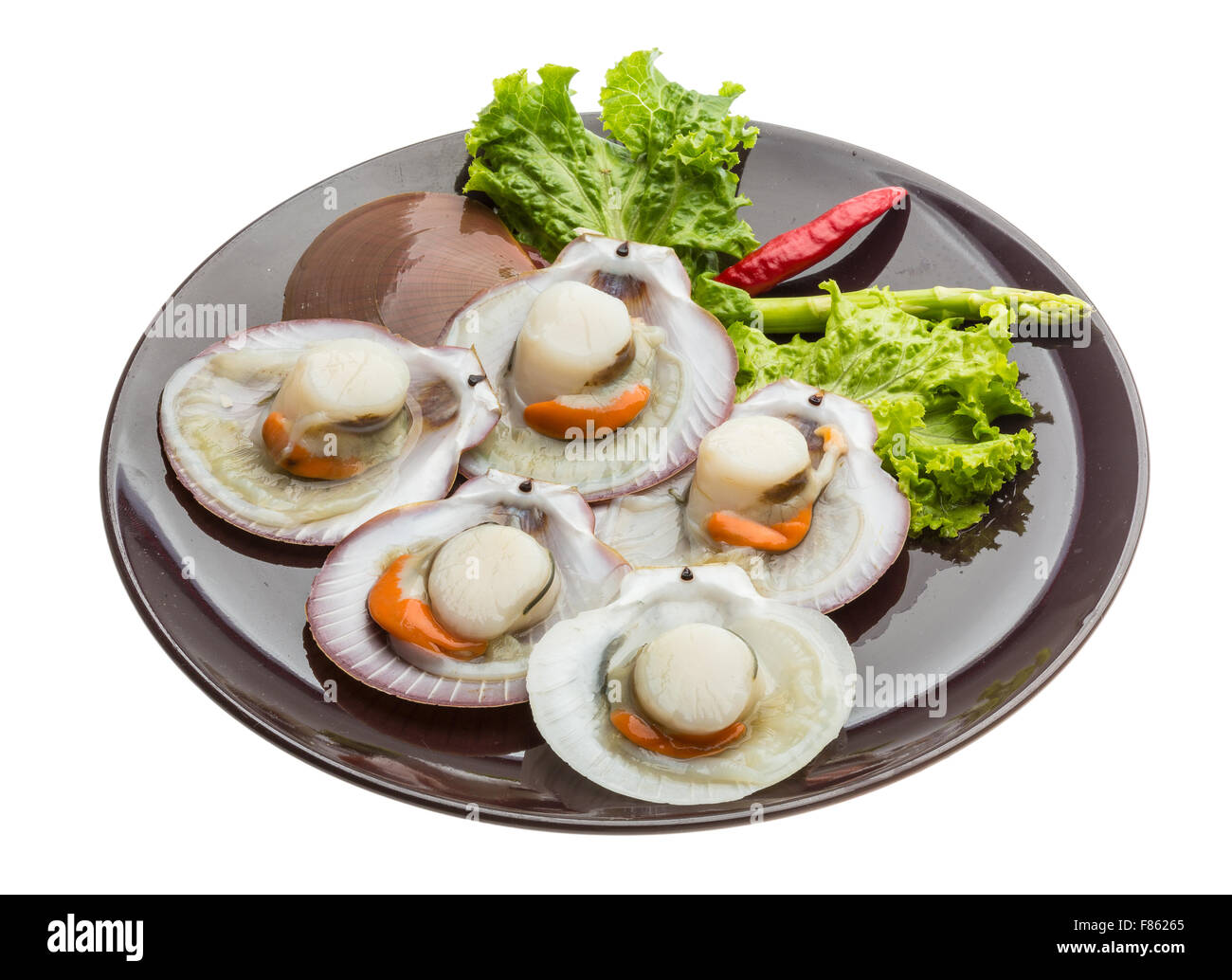 Raw fresh scallop ready for cooking Stock Photo Alamy
