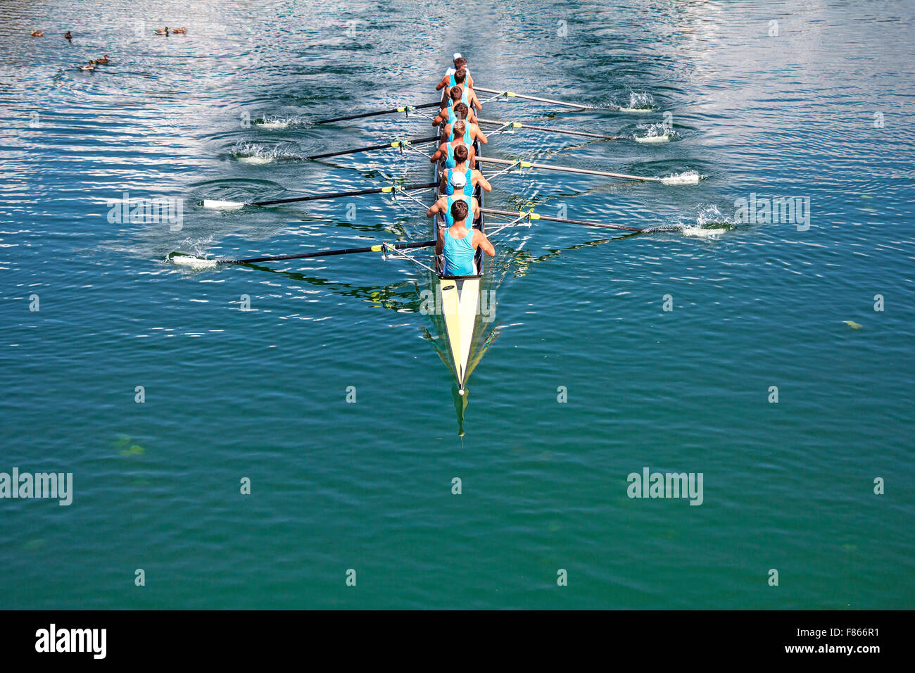 Boat coxed eight Rowers training rowing on the lake Stock Photo Alamy