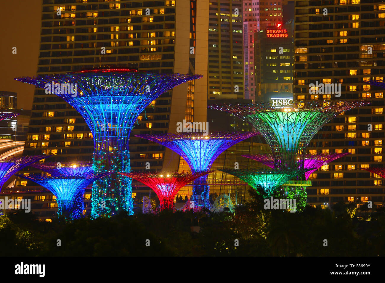Night scene of the illuminated Supertrees in the Supertrees Grove in the Gardens by the Bay, Singapore, Republic of Singapore Stock Photo