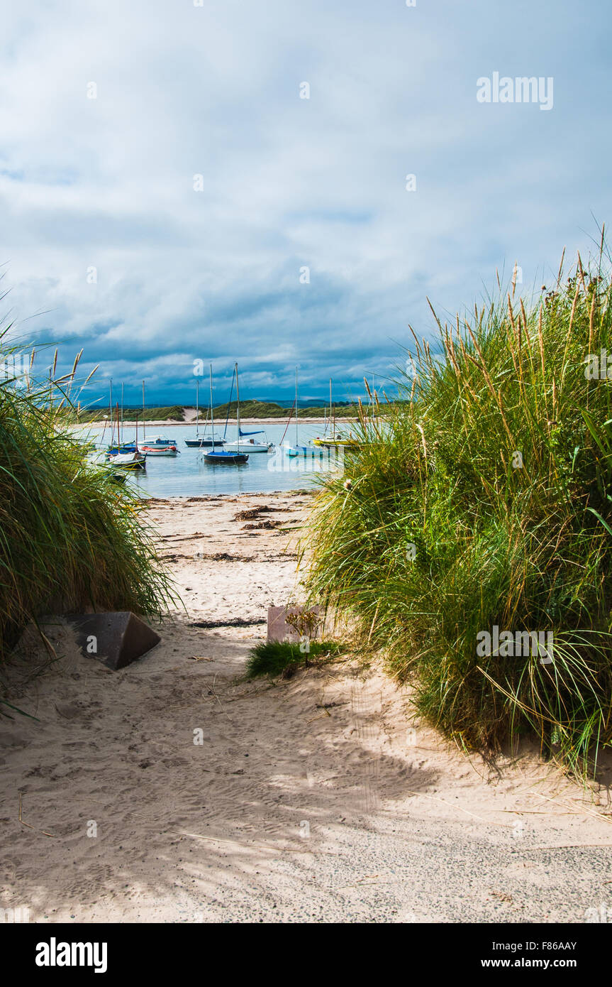 Dead calm at Beadnell bay Northumberland  England Ray Boswell Stock Photo