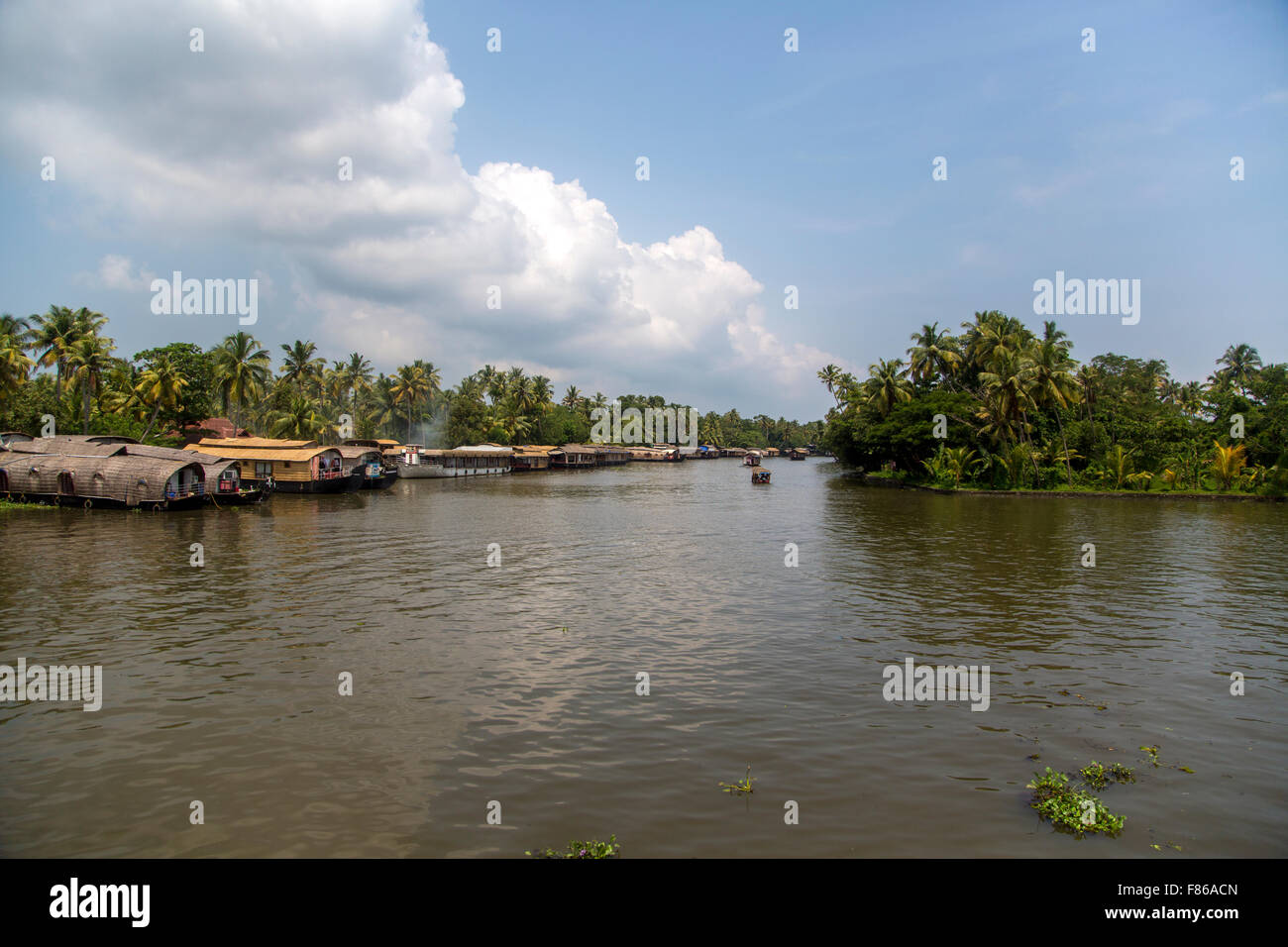 Backwaters in Kerala, India. The backwaters are an extensive network of 41 west flowing interlocking rivers, lakes and canals th Stock Photo