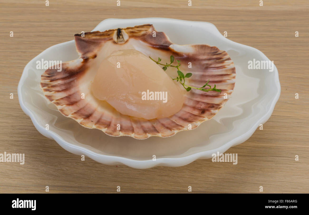 Raw scallops in the shell Stock Photo - Alamy