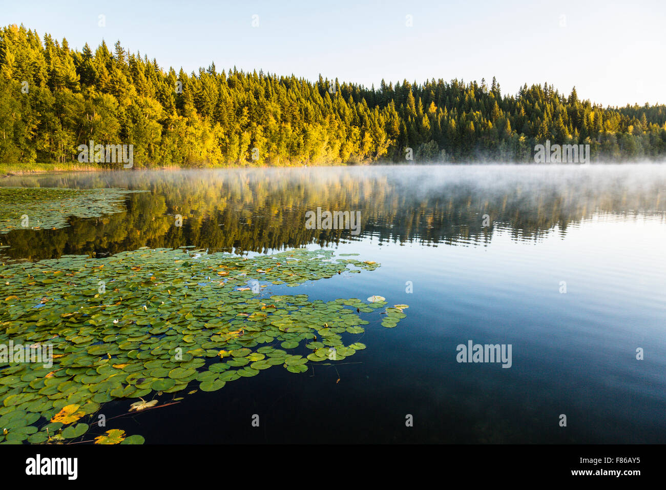 Sunrise at a Lake, Dutch lake, Clearwater, British Columbia, Canada Stock Photo 91109401 Alamy