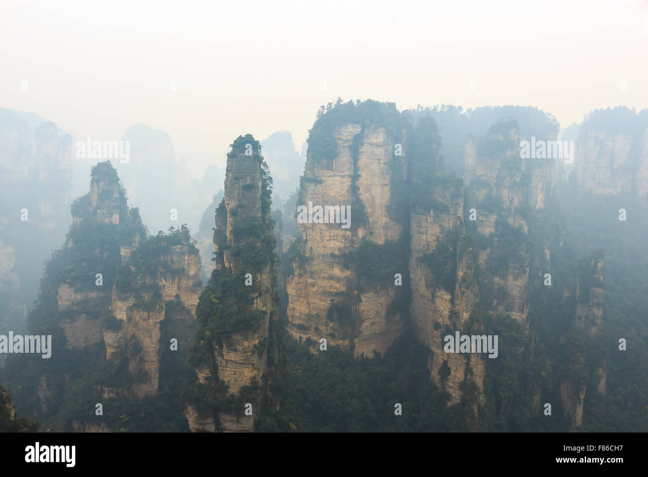 Zhangjiajie national park ( tian zhi shan ) ( Tianzi Mountain Nature Reserve ) and fog , China Stock Photo