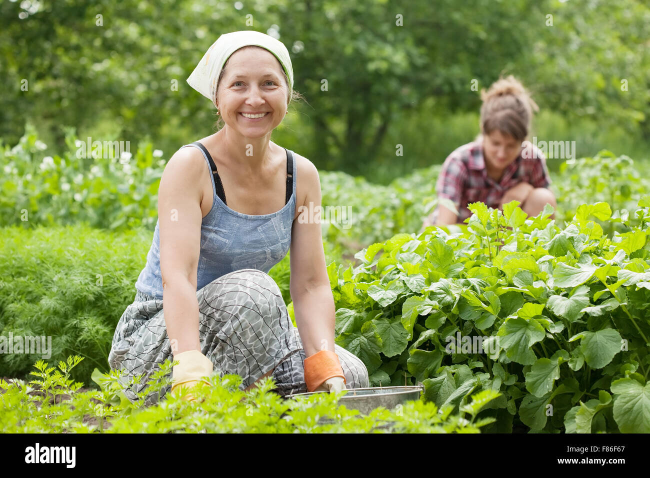 Животновод для детей. Пенсионеры в огороде. Working in the country. Working in the country. Люди трудятся в саду.
