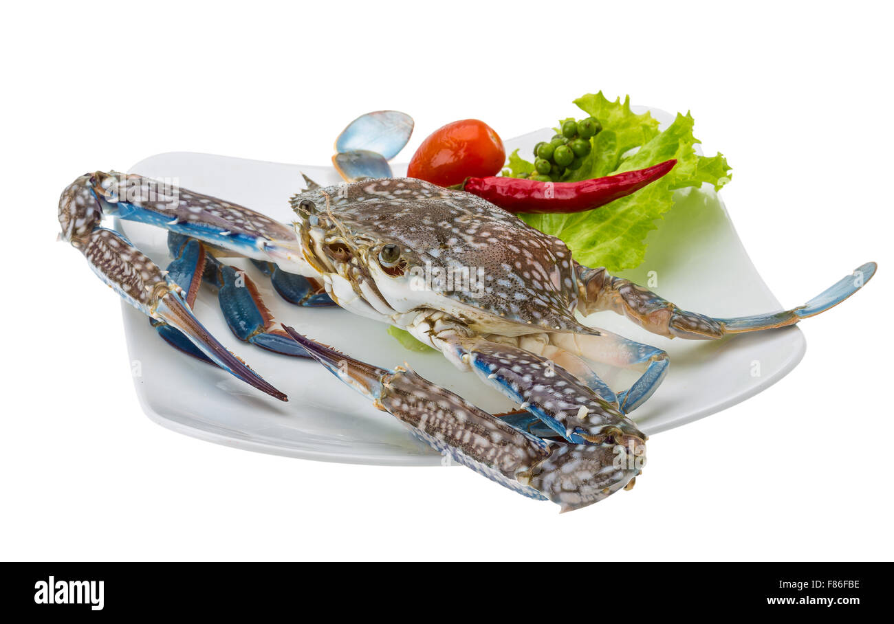 Raw blue crab ready to cook Stock Photo Alamy