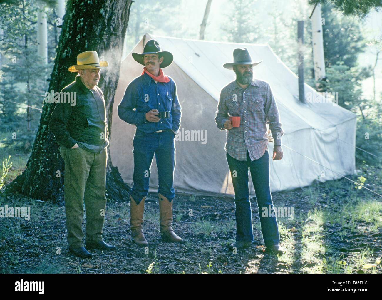 Escape to Rogers Cow Camp: Your Northern California Adventure Awaits!