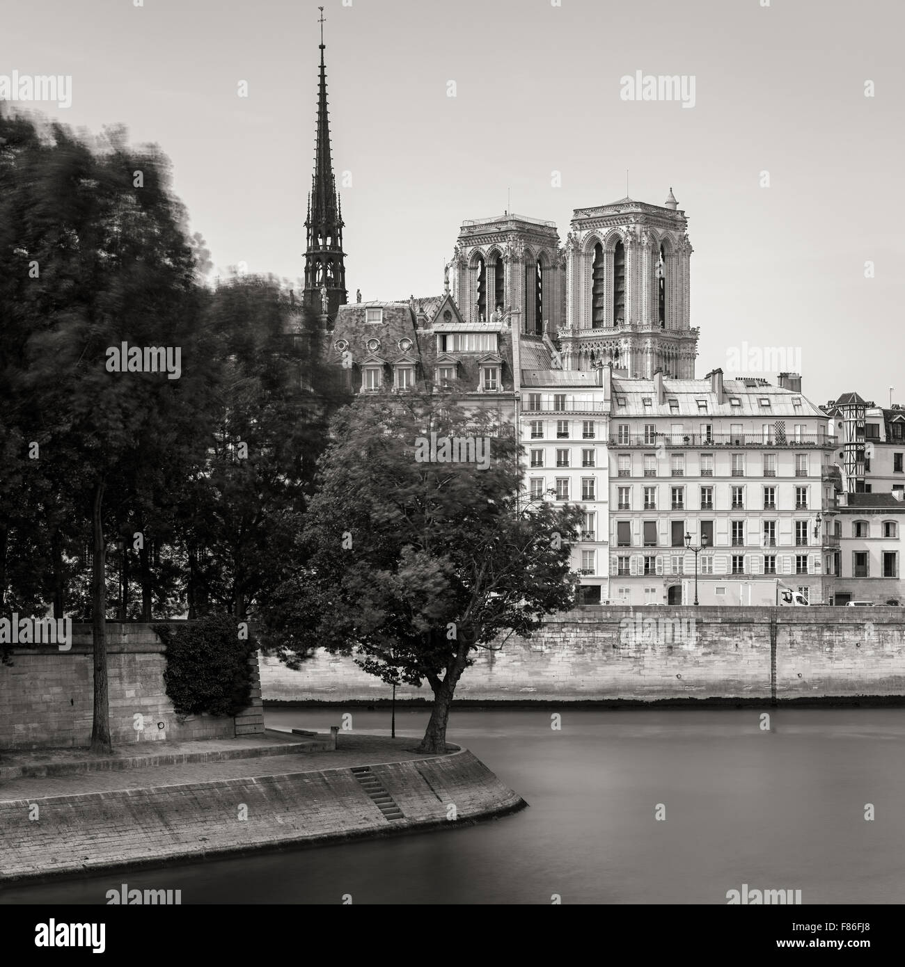 Tip of Ile Saint Louis and towers and spire of Notre Dame de Paris Cathedral (Ile de la Cite) along the bank of the Seine River Stock Photo